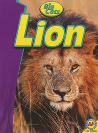 Produktbild: Lion