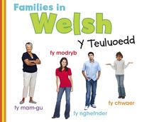 Produktbild: Families in Welsh: Y Teuluoedd