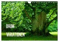 Produktbild: Baum-Variationen (Wandkalender 2026 DIN A4 quer), CALVENDO Monatskalender