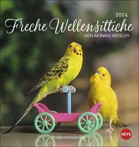 Bild vom Artikel Freche Wellensittiche Postkartenkalender 2024 von Monika Wegler. Die bunten Vögel in einem kleinen Kalender zum Aufstellen und Aufhängen. Perforiert vom Autor Wegler Monika
