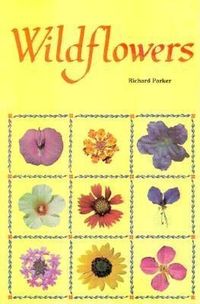 Produktbild: Wildflowers