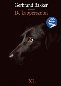 Produktbild: De kapperszoon