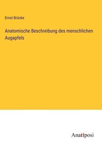 Produktbild: Anatomische Beschreibung des menschlichen Augapfels
