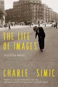 Produktbild: The Life of Images