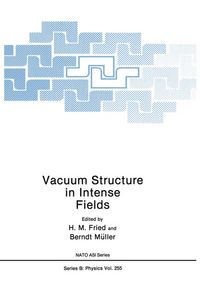 Produktbild: Vacuum Structure in Intense Fields