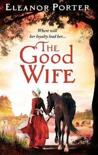 Produktbild: The Good Wife