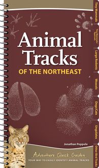 Produktbild: Animal Tracks of the Northeast
