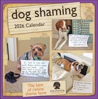 Produktbild: Dog Shaming 2026 Wall Calendar