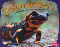 Produktbild: Salamanders