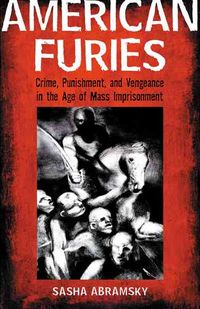 Produktbild: American Furies: Crime, Punishment, and Vengeance in the Age of Mass Imprisonment