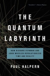 Produktbild: The Quantum Labyrinth