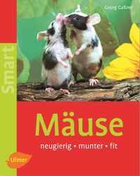 Bild vom Artikel Mäuse vom Autor Georg Gassner
