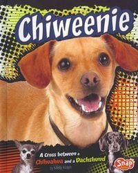 Produktbild: Chiweenie