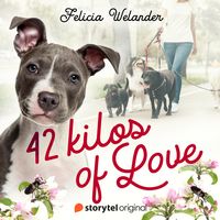 Produktbild: 42 Kilos of Love