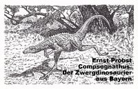 Produktbild: Compsognathus. Der Zwergdinosaurier aus Bayern