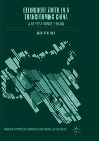 Produktbild: Delinquent Youth in a Transforming China