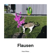 Produktbild: Flausen