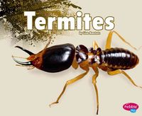 Produktbild: Termites