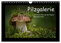 Produktbild: Pilzgalerie - Heimische Pilze aus der Region Rheinland-Pfalz (Wandkalender 2026 DIN A4 quer), CALVENDO Monatskalender