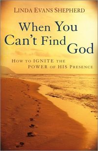Produktbild: Shepherd, L: When You Can't Find God