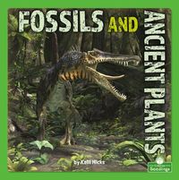 Produktbild: Fossils and Ancient Plants