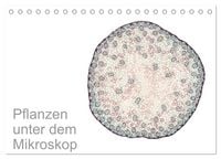 Produktbild: Pflanzen unter dem Mikroskop (Tischkalender 2026 DIN A5 quer), CALVENDO Monatskalender