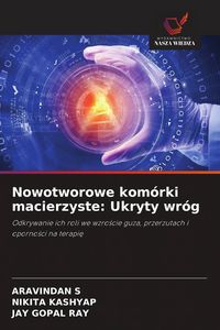 Produktbild: Nowotworowe kom&oacute;rki macierzyste: Ukryty wr&oacute;g
