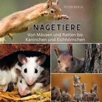 Produktbild: Nagetiere