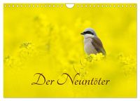 Produktbild: Der Neunt&ouml;ter (Wandkalender 2026 DIN A4 quer), CALVENDO Monatskalender