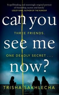 Produktbild: Can You See Me Now?