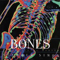 Produktbild: Simon, S: Bones