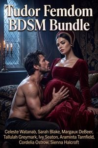Produktbild: Tudor Femdom BDSM Bundle