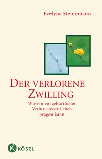 Produktbild: Der verlorene Zwilling