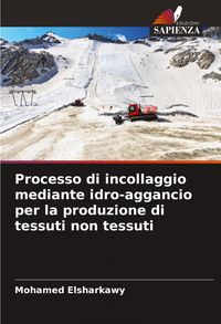 Produktbild: Processo di incollaggio mediante idro-aggancio per la produzione di tessuti non tessuti