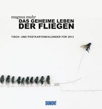 Produktbild: Das geheime Leben der Fliegen - Tisch- und  Postkartenkalender 2013