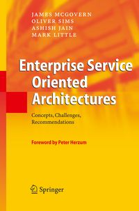 Produktbild: Enterprise Service Oriented Architectures