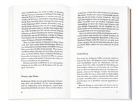 Die 12 seelischen Archetypen