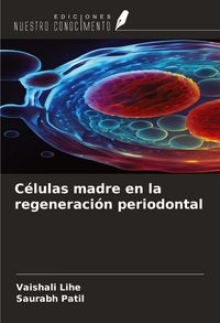Produktbild: C&eacute;lulas madre en la regeneraci&oacute;n periodontal