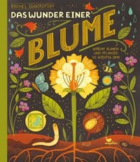 Produktbild: Das Wunder einer Blume - Warum Blumen und Pflanzen so wichtig sind