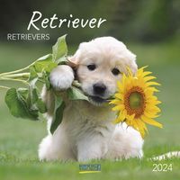 Bild vom Artikel Retriever 2024 vom Autor 