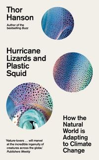 Produktbild: Hurricane Lizards and Plastic Squid