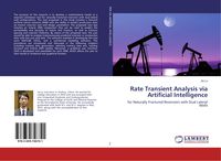 Produktbild: Rate Transient Analysis via Artificial Intelligence