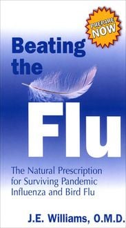 Produktbild: Beating the Flu