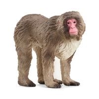 Produktbild: schleich&reg; 14871 Japanmakak