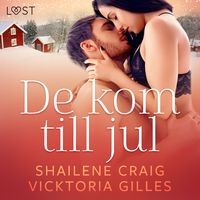 Produktbild: De kom till jul - erotisk julnovell