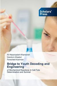 Produktbild: Bridge to Youth Decoding and Engineering
