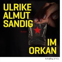 Produktbild: Im Orkan