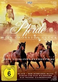 Bild vom Artikel Pferde - Mein größtes Glück  [3 DVDs] vom Autor Michele Goodger