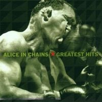 Bild vom Artikel Greatest Hits vom Autor Alice In Chains
