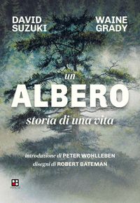 Produktbild: Un albero. Storia di una vita